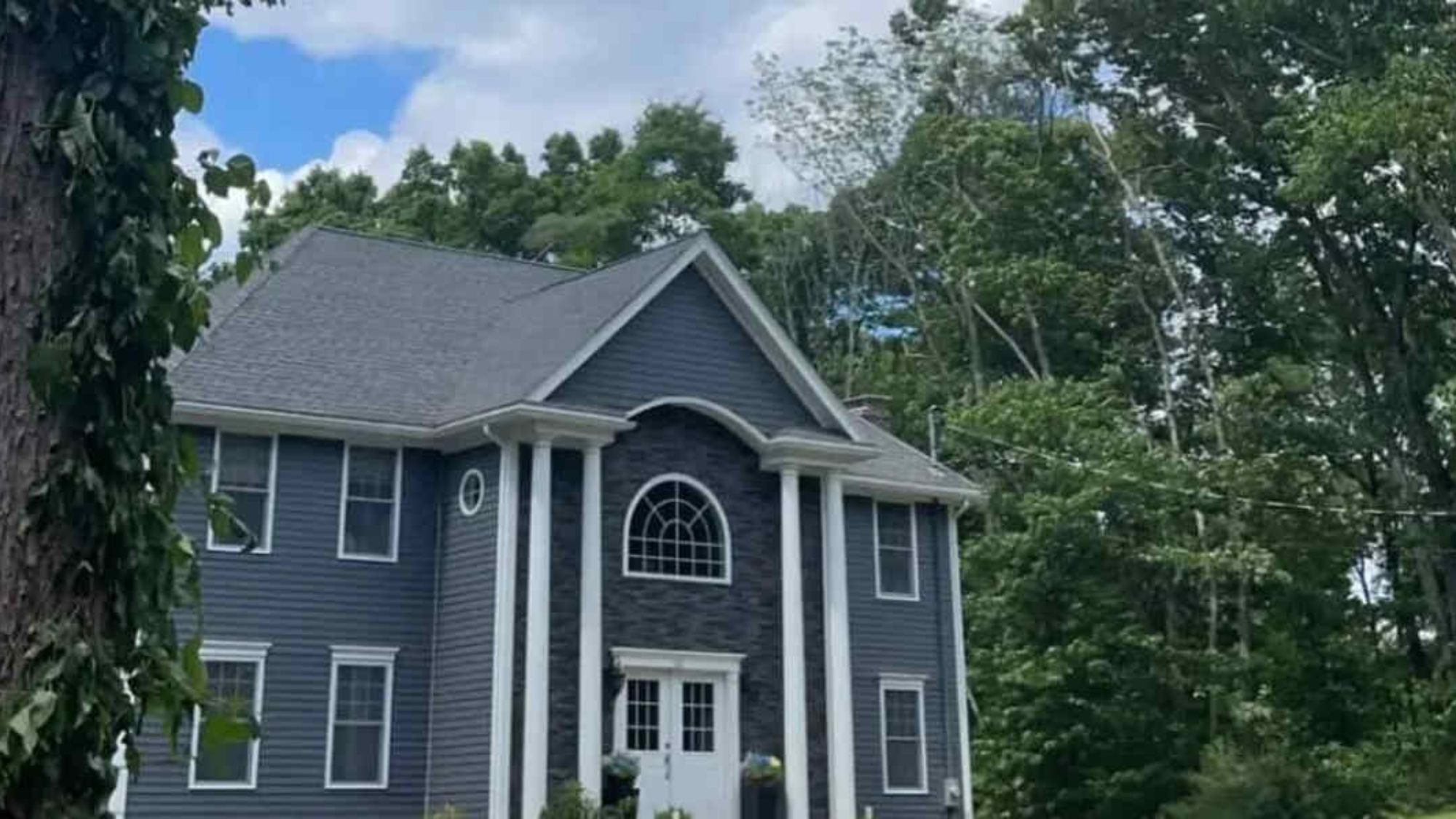 what trees should not be planted close to a house