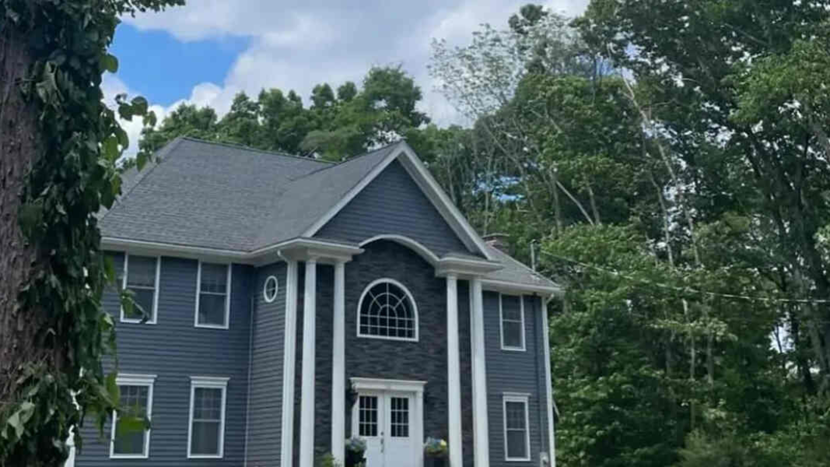 subsidence caused by trees