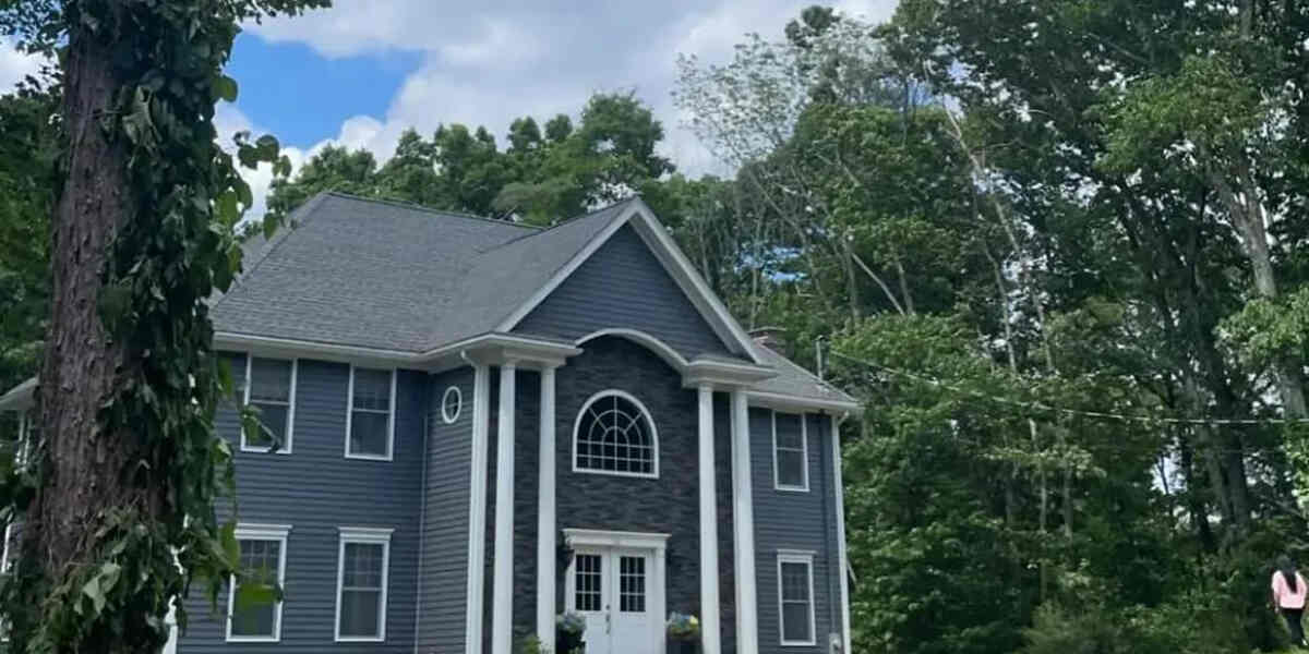 subsidence caused by trees