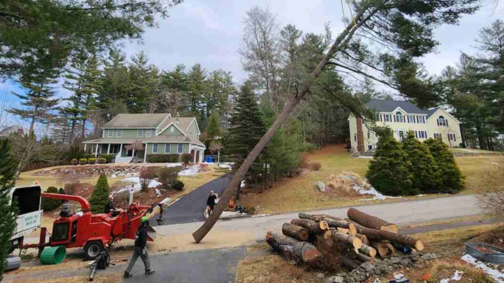how to cut a leaning tree