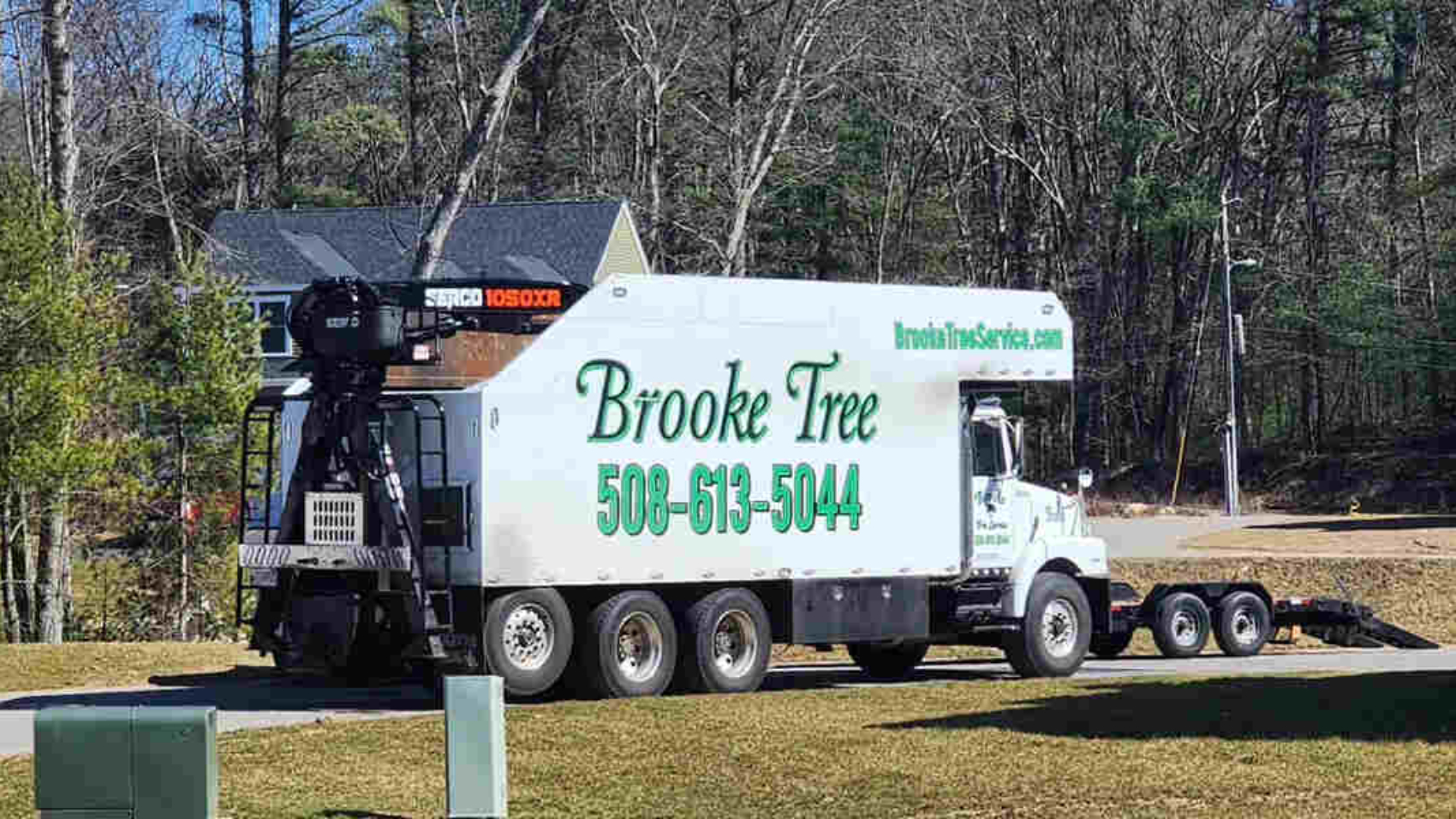 tree protection during construction