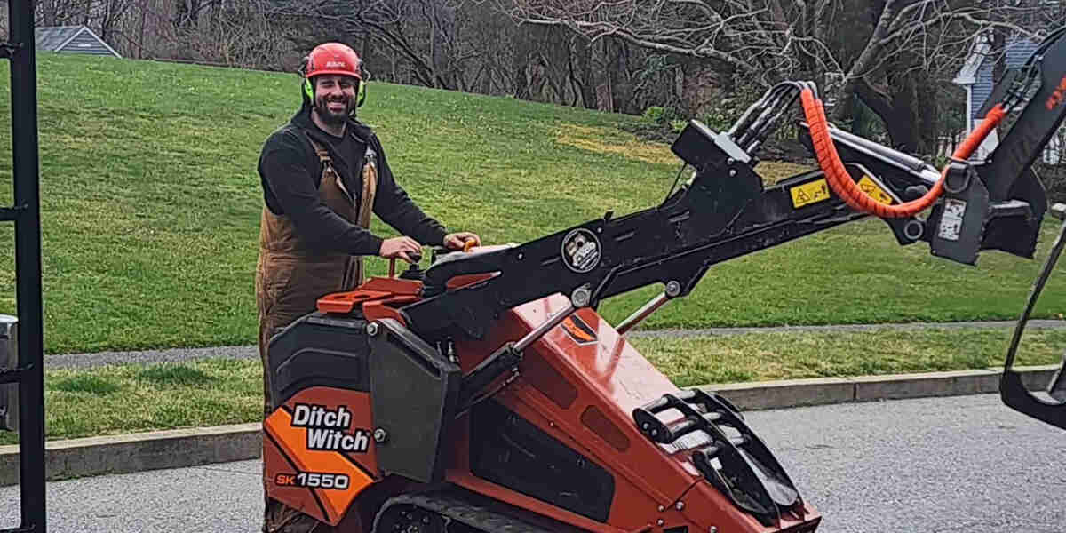 what is an arborist