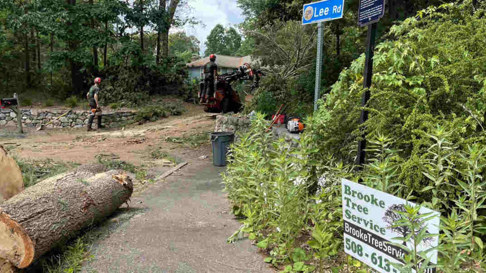 planting trees for wildlife