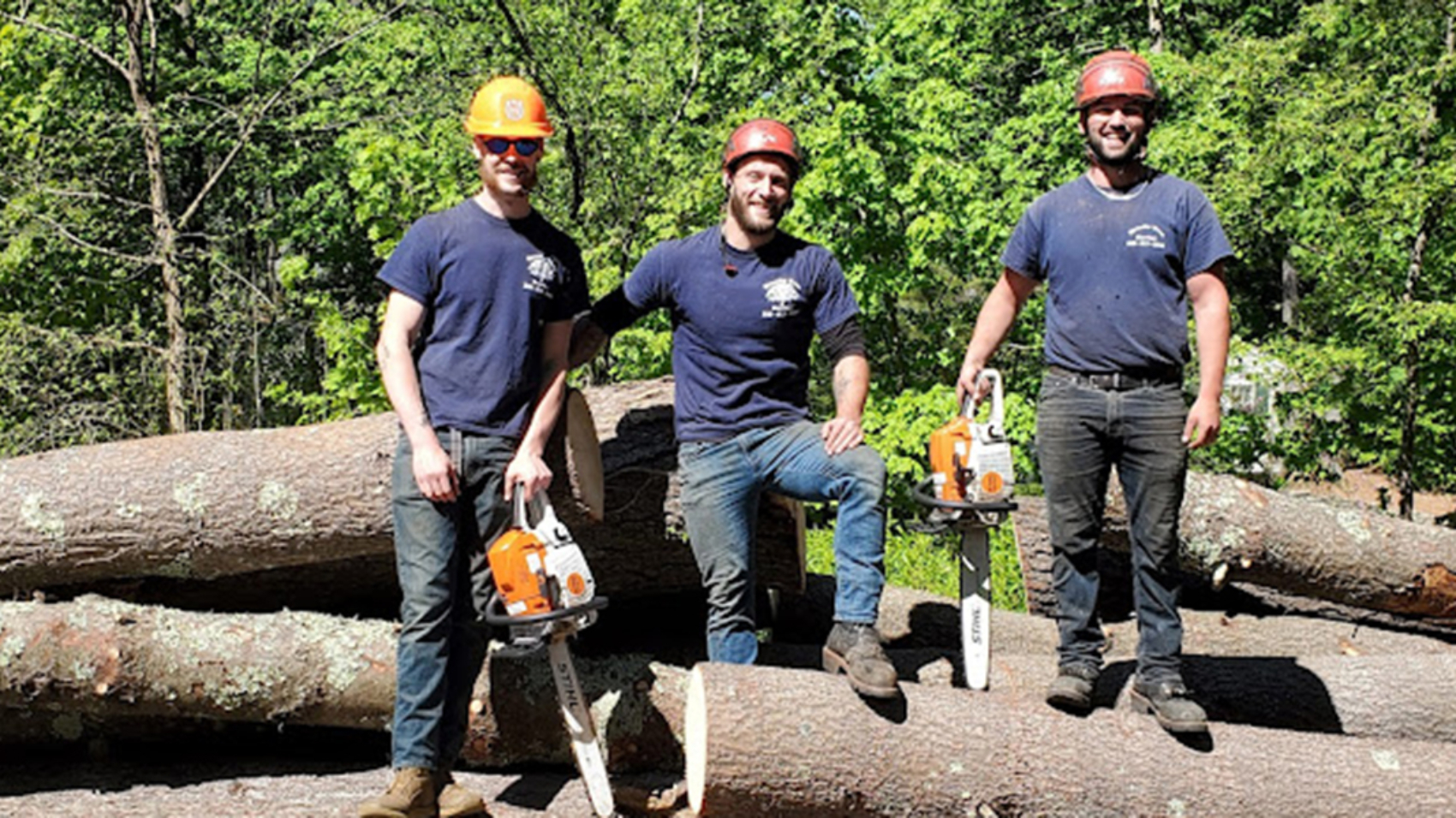 arborist vs certified arborist