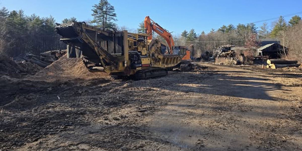 does clearing land increase property value