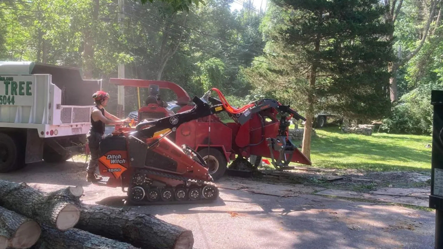 tree cutting vs tree removal