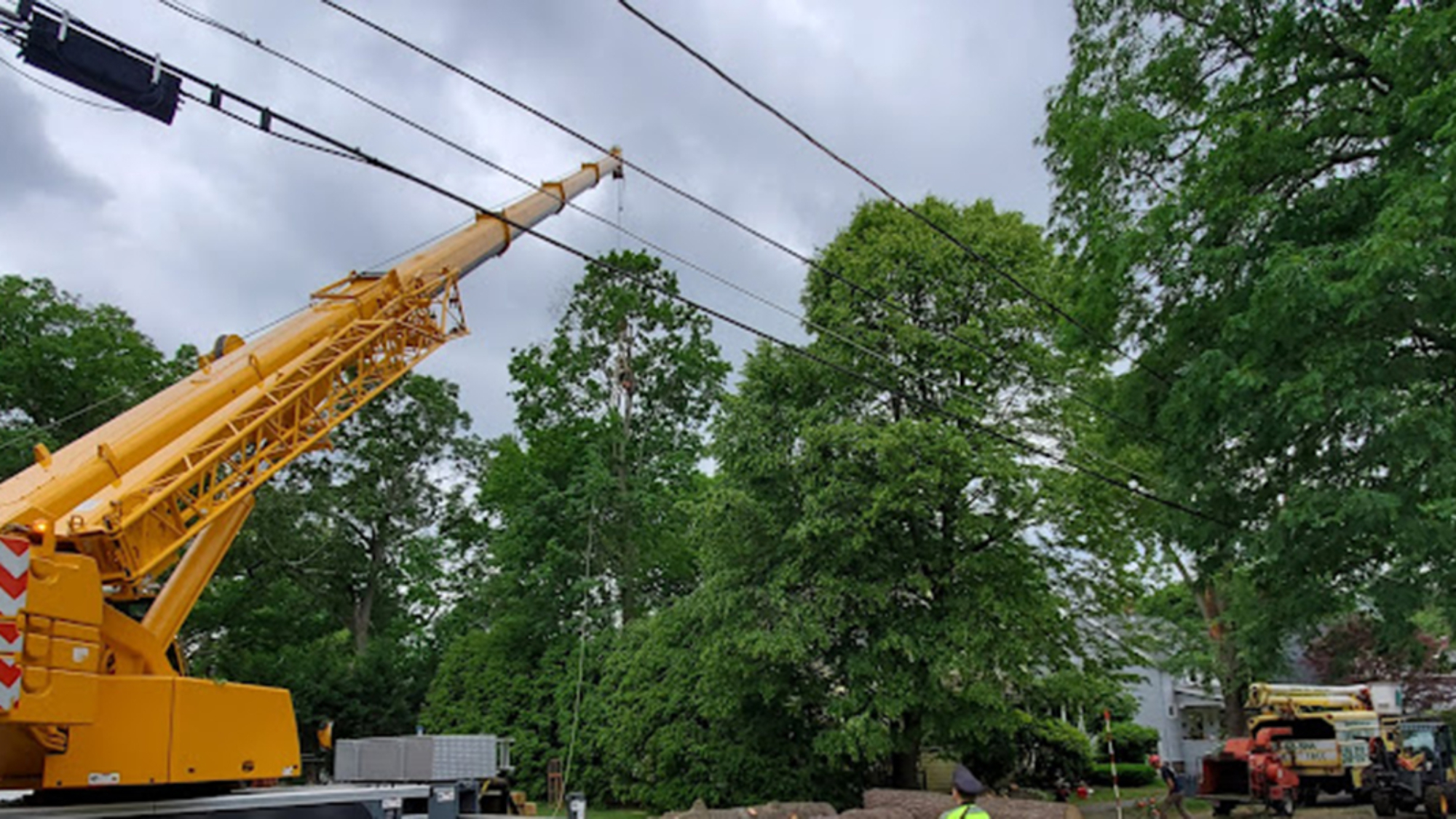 tree branch touching power line to house