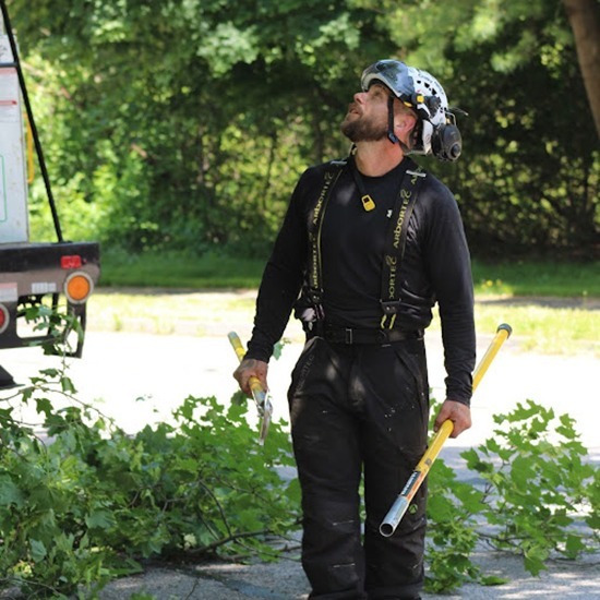 tree pruning