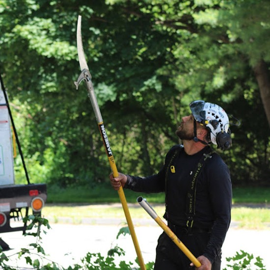 tree pruning
