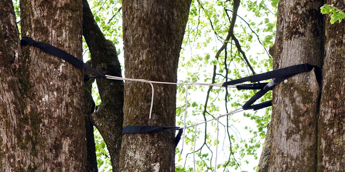 how to brace a large leaning tree​