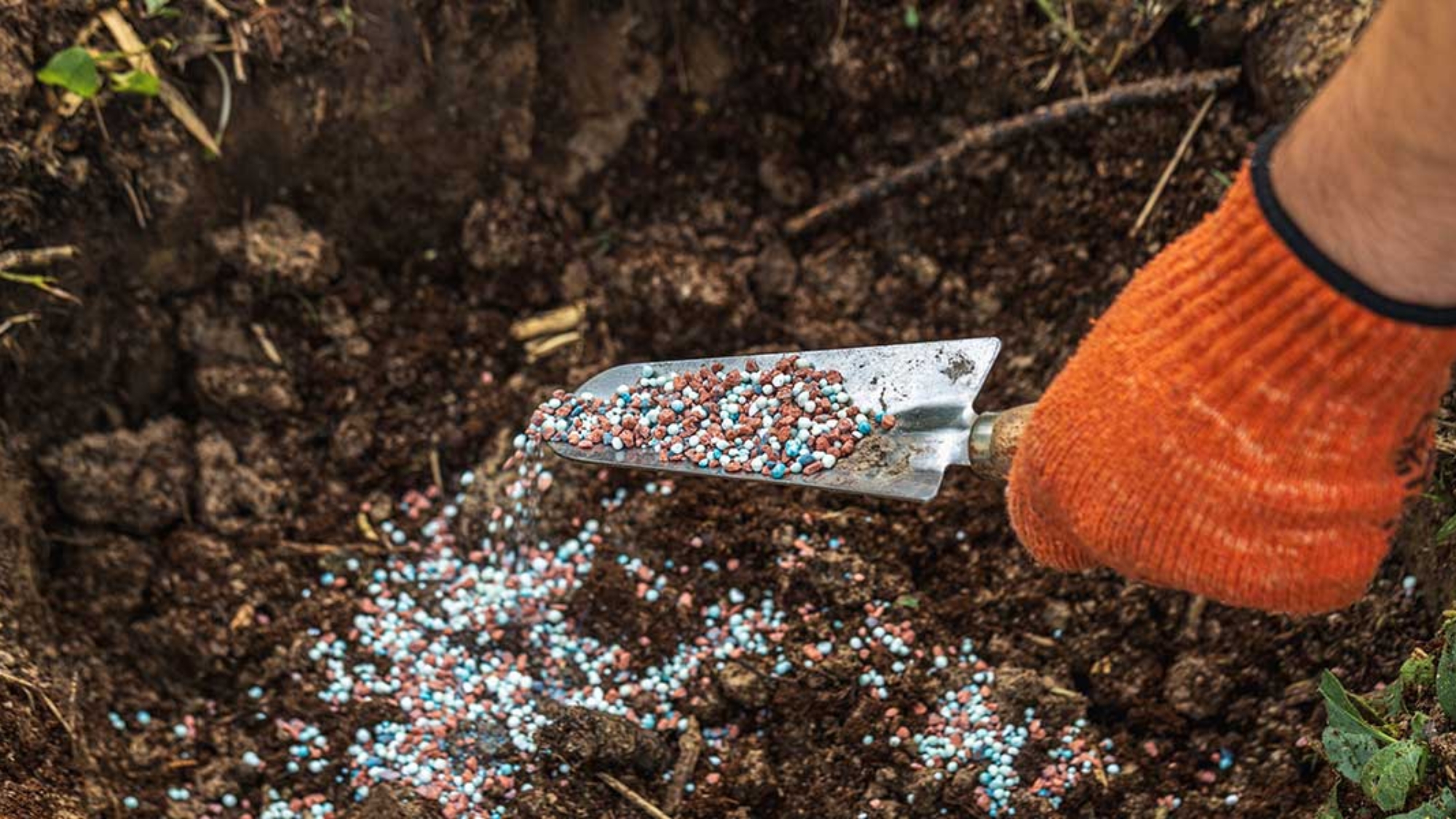 organic fertilizer vs synthetic fertilizer