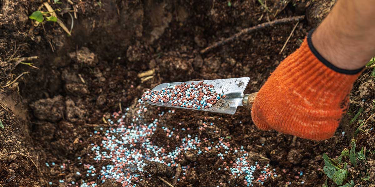 organic fertilizer vs synthetic fertilizer