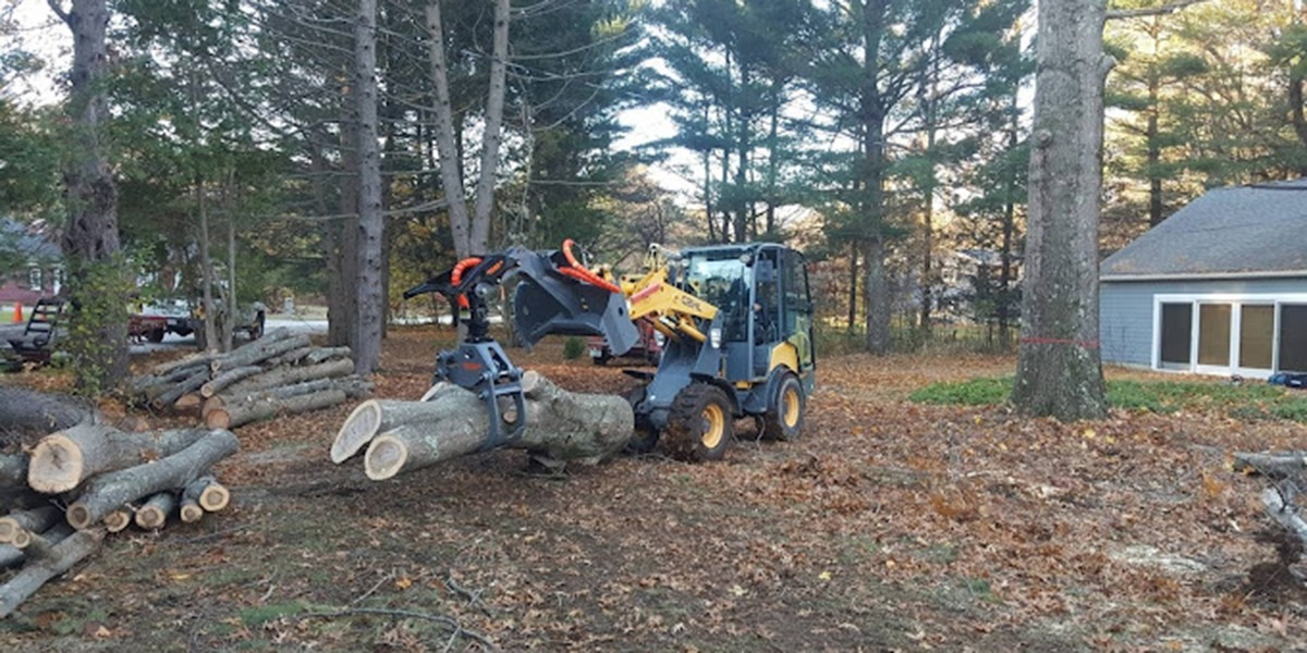 what is land clearing​