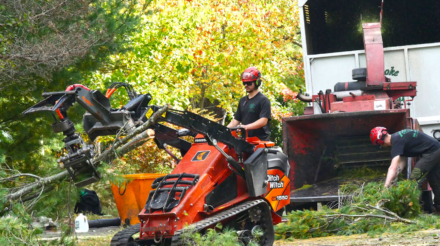 Brooke-LandClearing-P1120412