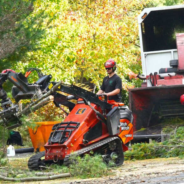 Brooke-LandClearing-P1120412