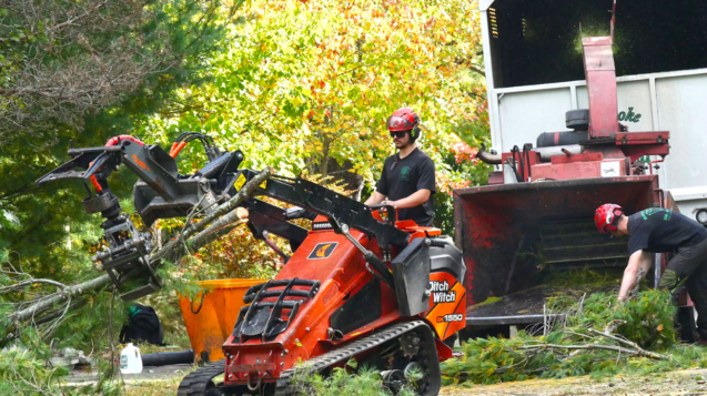 Brooke-LandClearing-P1120412